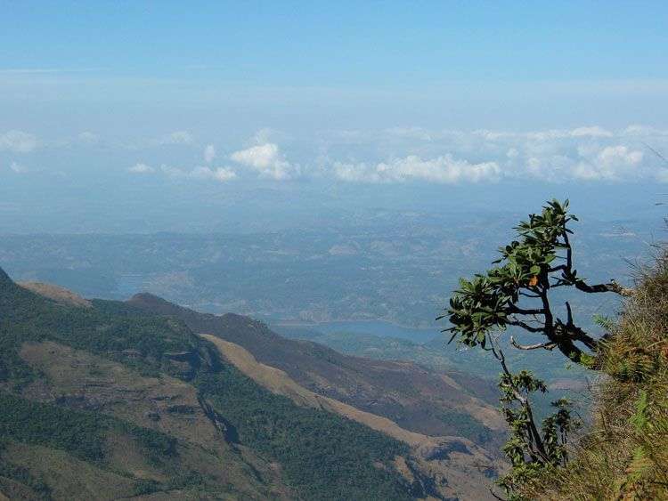 World's End hoog in de bergen van centaal Sri Lanka